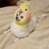 Katiiin