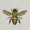 bzzz.doc