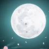 Flashlight17