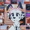 Marshall_03