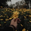 somethingthatyou