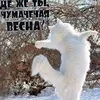 мадмуазель Нуара