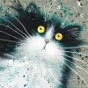 Meow Warden