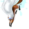 1fox1412