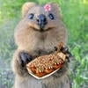 Имбирная квокка