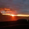 Хвойный блинчик