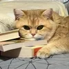 саша-ли