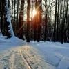 White_sunset