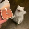 Кищььька