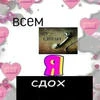 Заяц.Повесился