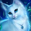 White_NightSon