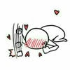 _.meowsxn._