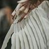 Clamor_anima