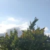 Светиккк