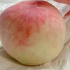 KPIVETKA