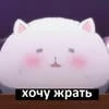 Denkoo