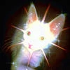 -Nokitty