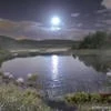 захлебнулась в луже.