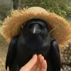 Оскар Павтил