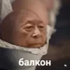 Shikyfu_Jikutafuka