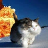 Дура Пьяная