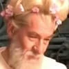 Подсолнуховый фронт. Эльфы в моей голове