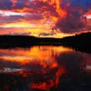 Историк выдуманных историй
