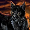 Cave Cat