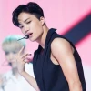Yong and Wild