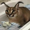 Ныкто