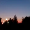 Ингуля