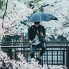 Rainy_Day20062008
