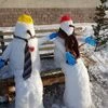 Февральский_снег