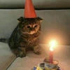 mad_elf