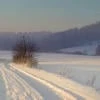 метельная Ананке