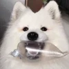 CookieWtite