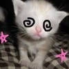 chepuha__