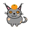 Cat_Orance