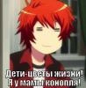 Ассасин тапочек