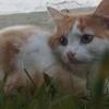 _unknown_person_13