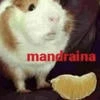 Sarancha_kto