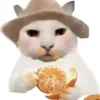 IDK_GX