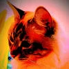 Peter_3653