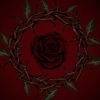 Rosa Rubra
