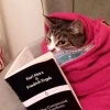 mintaki
