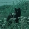 Руби Бэйкер