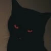 Dark princess_yeah