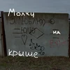 Молчу на крыше