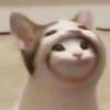 LLLgin