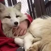 Ойген Фишер.